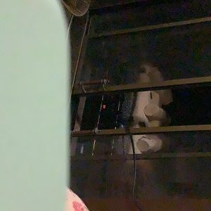 Meet your Posher, Sharon